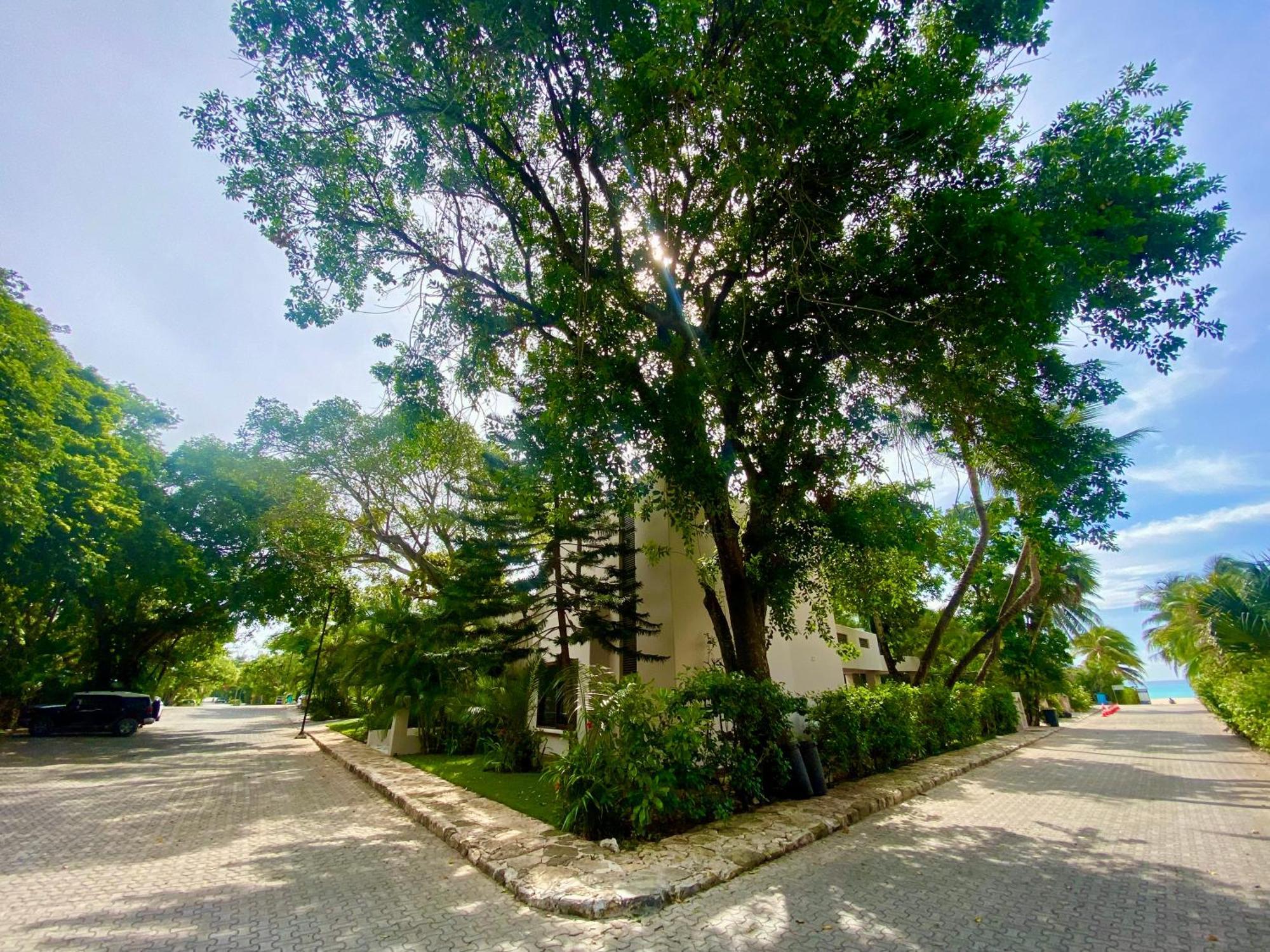 Villa Almendra Playacar 1 Плая-дель-Кармен Экстерьер фото